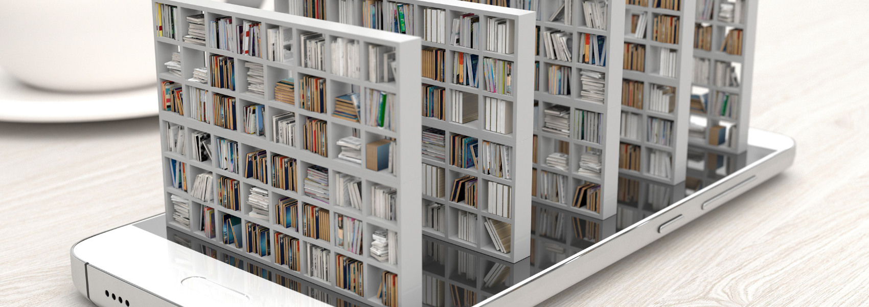 BIBLIOTECA VIRTUAL